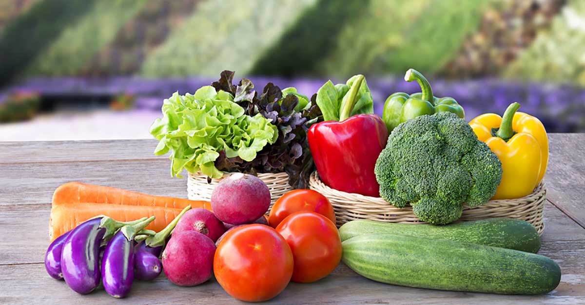 https://www.judiwright.com/wp-content/uploads/fresh-produce-home-delivery-frisco-tx.jpg